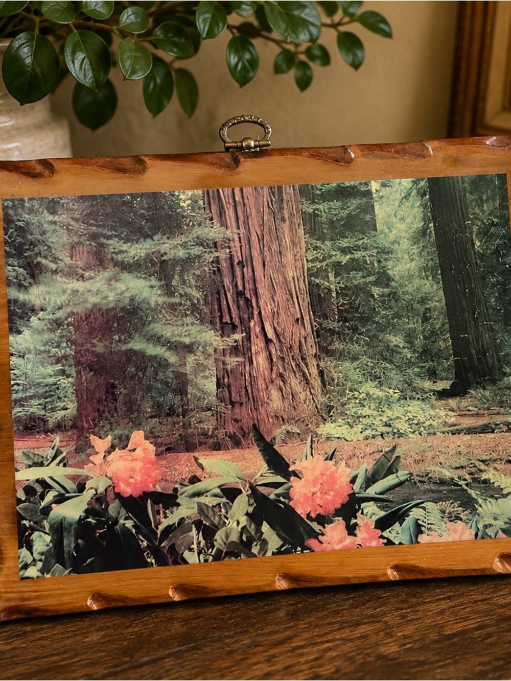 Botanical Pink Blossom Forest Photography Print